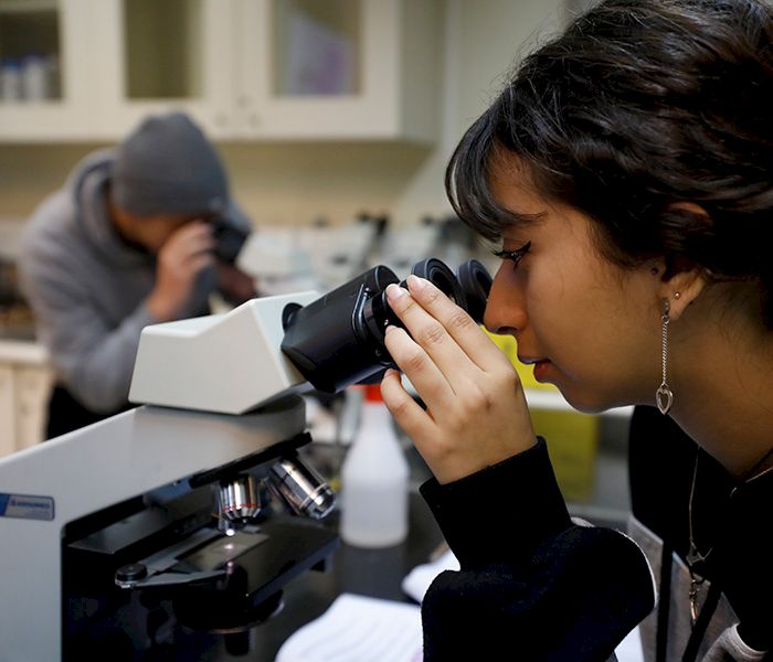 Estudiante observando por un microscopio