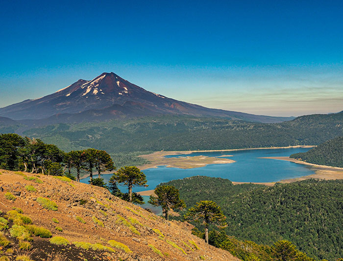 “Chile lindo”: ¿qué es el patrimonio natural y cómo cuidarlo?