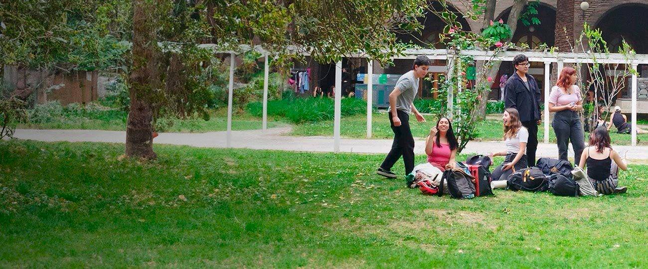 Hojas desenfocadas y atrás, un grupo de estudiantes conversando en el campus.