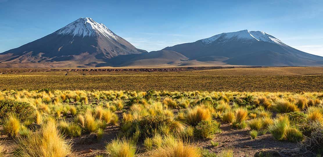 Paisaje altiplánico