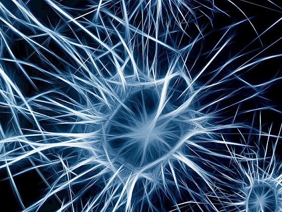 Imagen gráfica de una neurona
