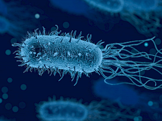Imagen digital de bacteria en movimiento. Imagen de Arek Socha en Pixabay