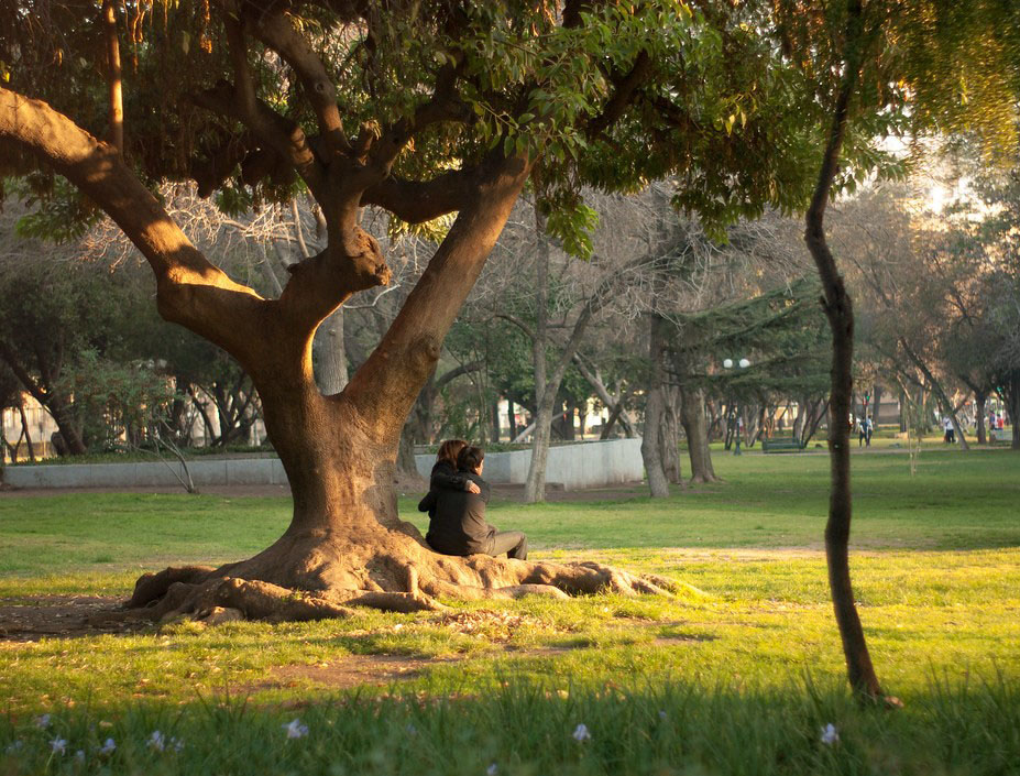 Estudio midió la valoración que tienen los santiaguinos del Parque Forestal  - Pontificia Universidad Católica de Chile