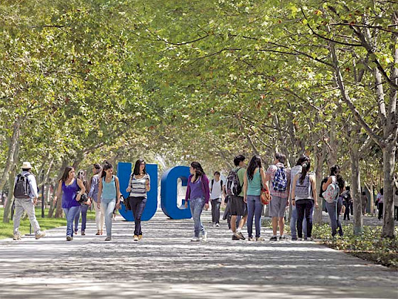 Personas jóvenes caminan en bajo alameda en campus San Joaquín