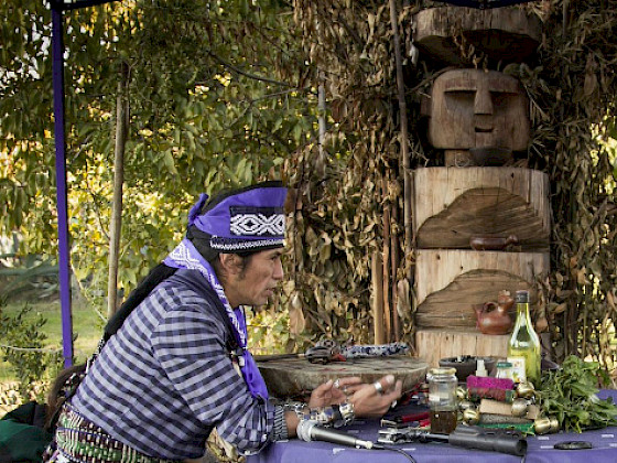 Imagen que muestra un machi junto a una joven, ambos sentados en una mesa al aire libre, sobre la que se ven distintas hierbas y objetos relativos a la salud mapuche. De fondo se ve un paisaje con áreas verdes y un chemamüll, estatua mapuche de madera con forma de persona.