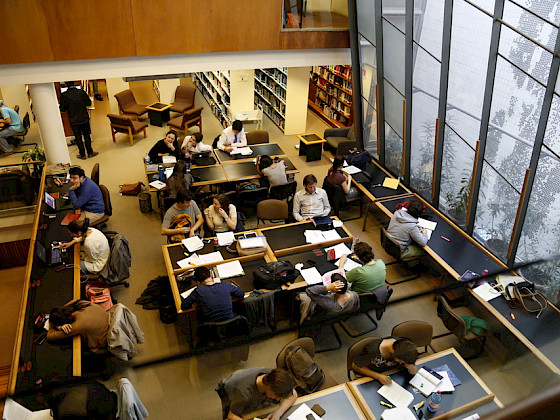 Alumnos estudiando en biblioteca. Foto Dirección de Comunicaciones.