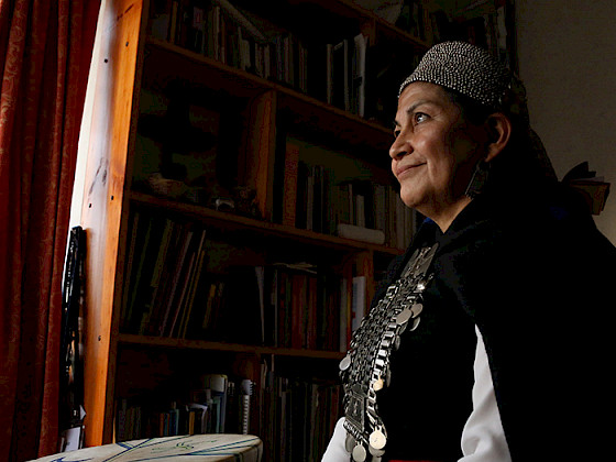 mujer mapuche mirando por una ventana