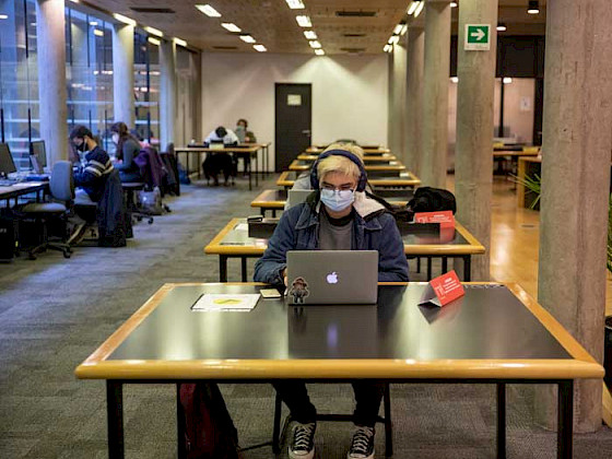 Estudiante peliteñido estudiando en la Biblioteca Biomédica de Casa Central.