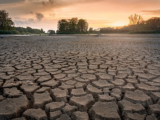 Efectos de la sequía.- Foto Pixabay