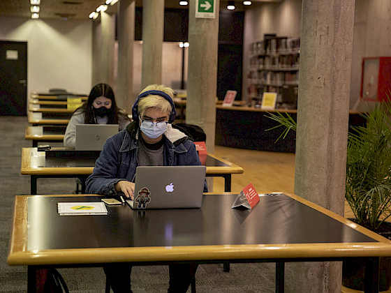 Estudiantes en la biblioteca. Foto Karina Fuenzalida