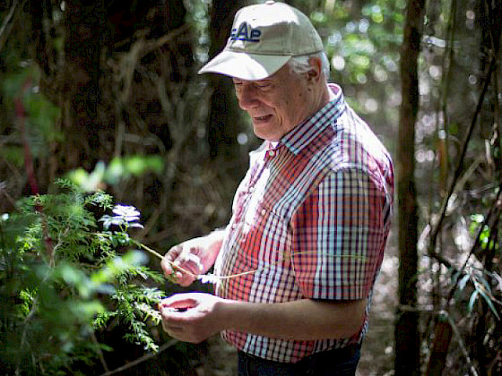 Profesor Juan Armesto observando plantas.