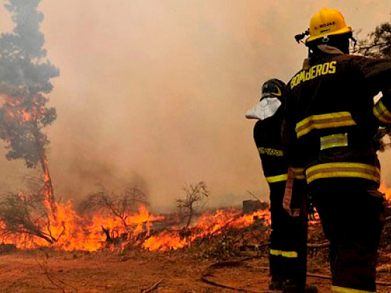 Bomberos frente a las llamas de incendio forestal