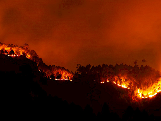 Incendios.- Foto Pexels