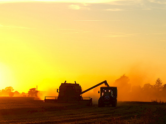 Tractor cosechando un campo al atardecer