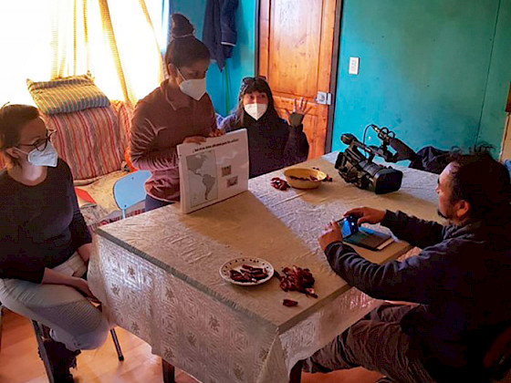 Investigadores entrevistando un participante del estudio sobre ancestros mapuche.
