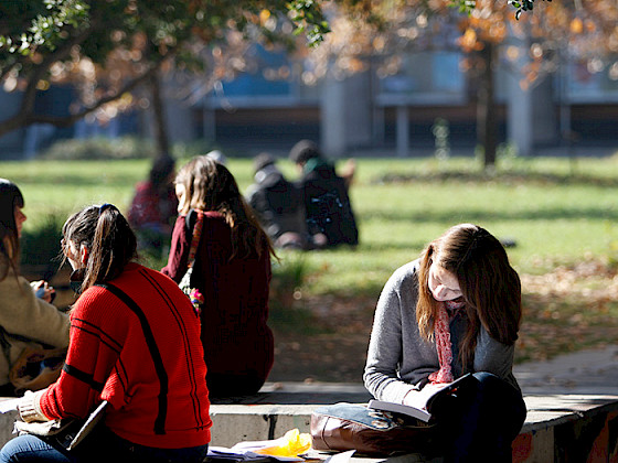 Una joven leyendo en el patio junto a otros estudiantes.