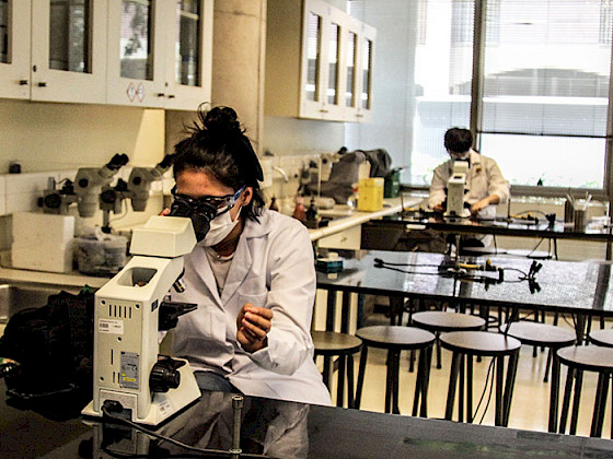 Estudiante en un laboratorio observa en un microscopio electrónico.