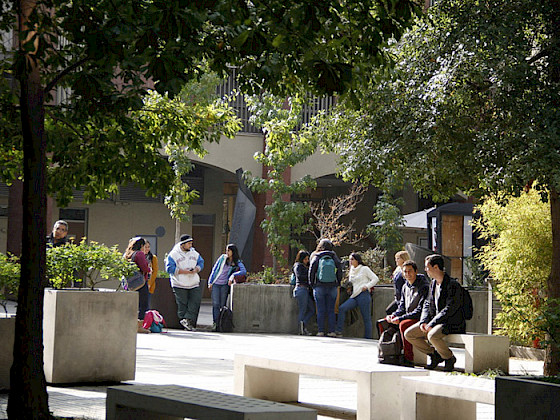 Universitarios en el patio.- Foto Dirección de Comunicaciones