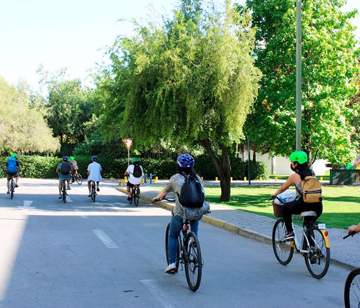 Personas andando en bicicleta en una calle con árboles