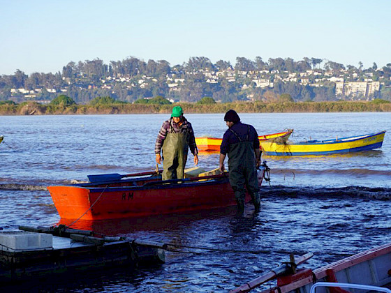 Trabajos en el estuario y cuenca del río.- Fotos SECOS