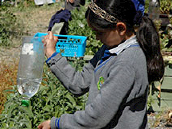 Escolares de Coquimbo manipulando cosechadores de agua