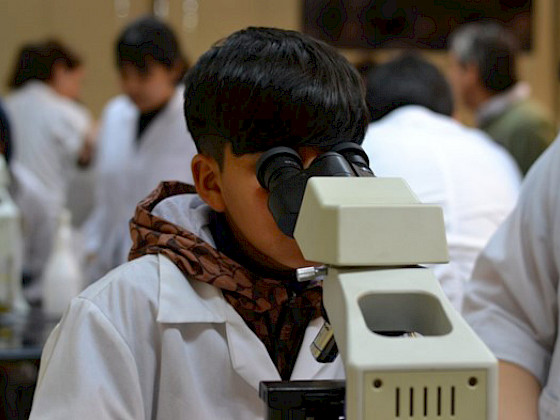 Estudiantes en laboratorios de docencia de la FCB. Foto FCB