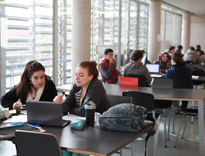 Estudiantes trabajan en grupo sentados en mesas junto a sus computadores en una sala de estudios.