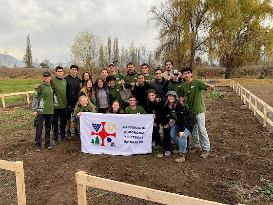 grupo de jóvenes con polera verde