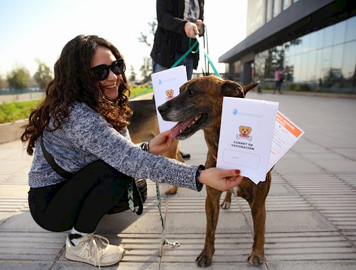 imagen correspondiente a la noticia: "Veterinaria UC realiza primeros operativos de atención a mascotas de profesionales y administrativos"