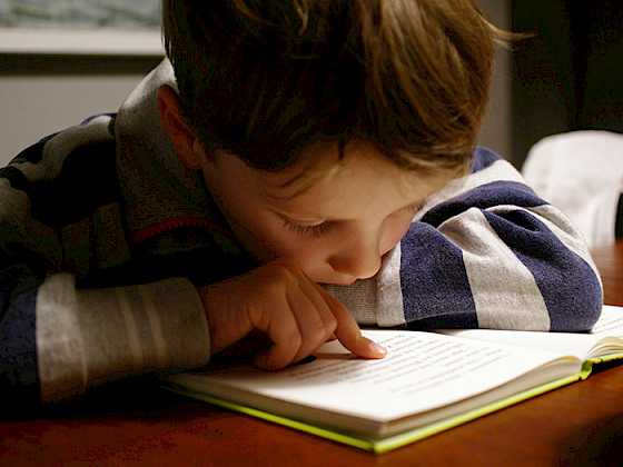 Niño leyendi un libro