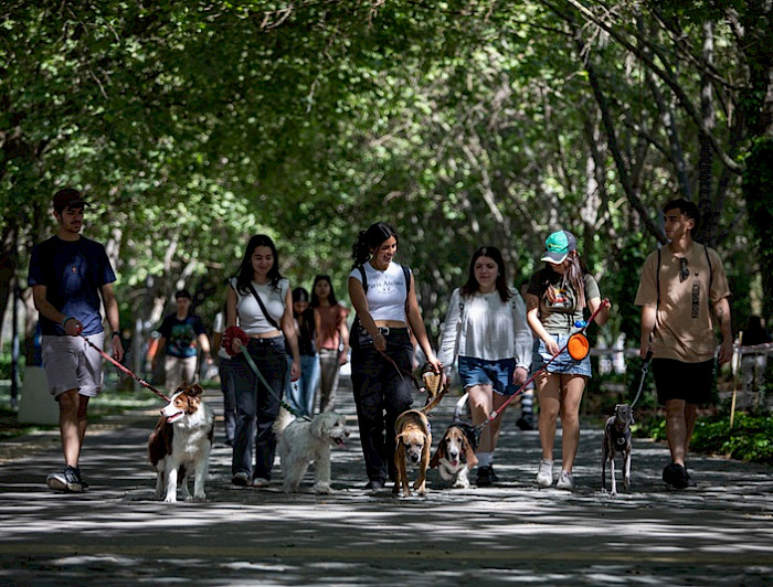 imagen correspondiente a la noticia: "Veterinaria UC celebra la primera bendición de perros"