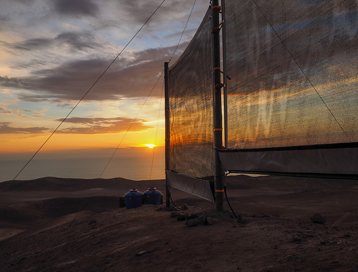 Atrapanieblas al atardecer