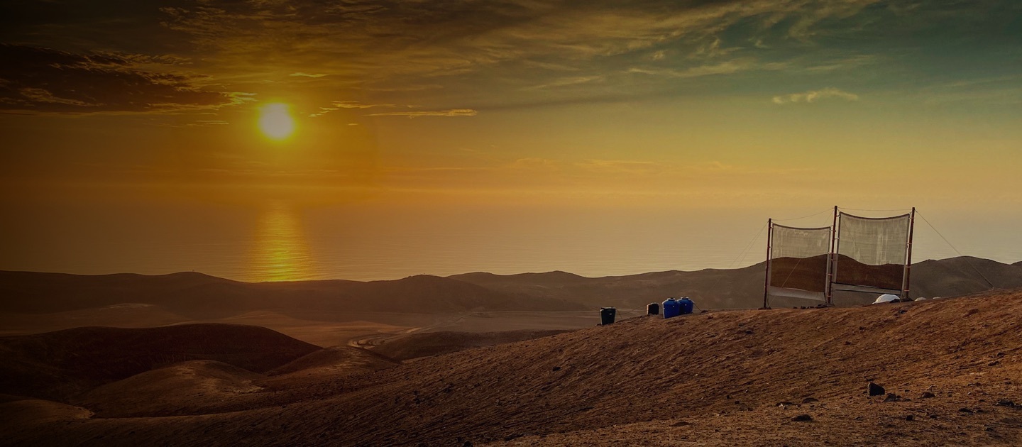 Imagen del desierto al atrdecer, con el océano al fondo y unos atrapanieblas en primer plano.