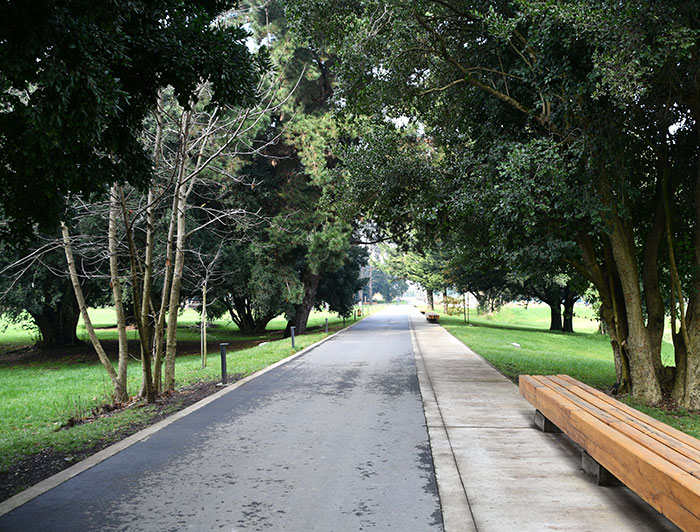 Sendero en Parque Urbano Isla Cautín en Temuco.