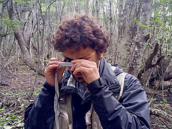 Profesor Darko Cotoras en trabajo de campo.- Foto Sebastian Pakarati