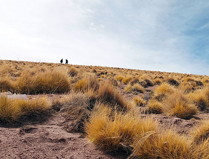 Paisaje altiplánico, al fondo se ve la silueta de dos personas.