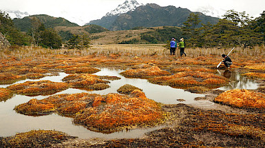 Investigadores trabajan en una turbera en Cordillera Darwin.