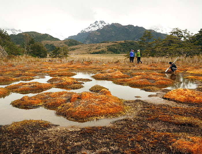 Investigadores trabajan en una turbera en Cordillera Darwin.