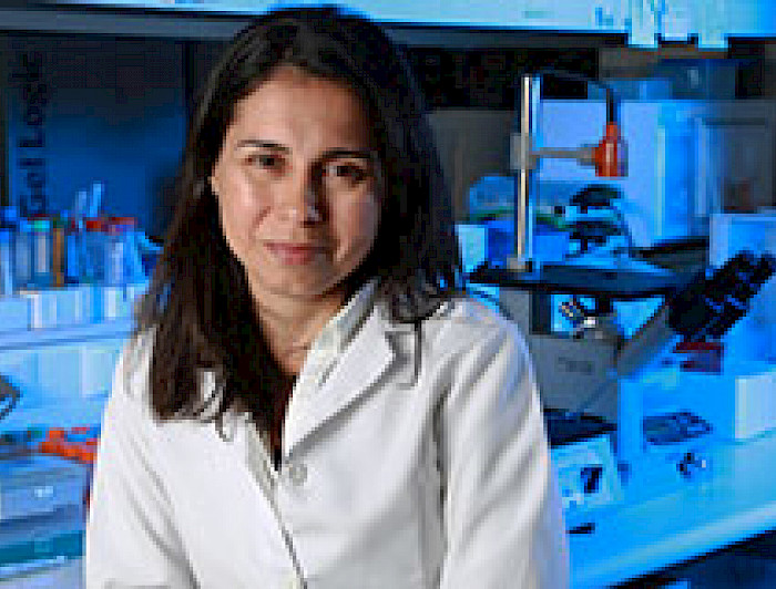imagen correspondiente a la noticia: "Profesora Susan Bueno es seleccionada como editora de Frontiers in Cellular and Infection Microbiology"
