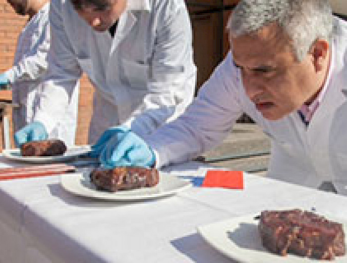 imagen correspondiente a la noticia: "Ingenieros dan claves para evitar exposición de carnes asadas a sustancias nocivas"