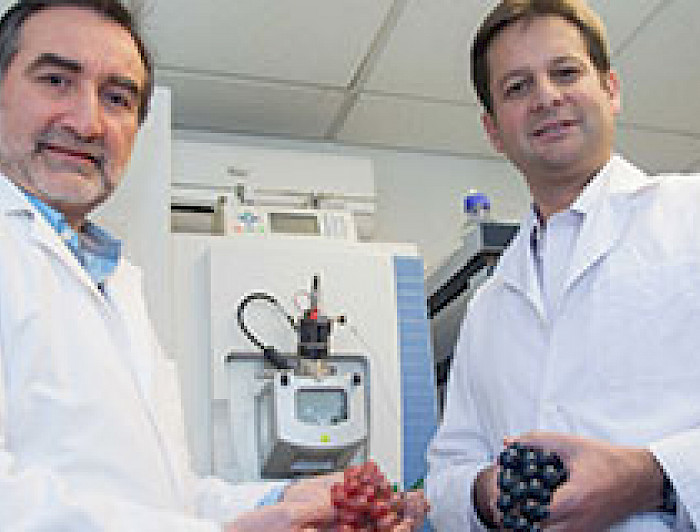 imagen correspondiente a la noticia: "Ingenieros crean alimentos saludables a partir de orujos y pepas descartados en elaboración de vinos"